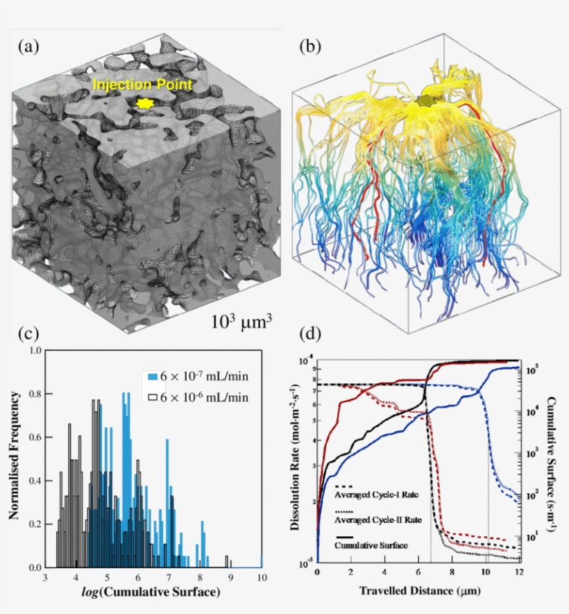 A Digital Model Of Natural Chalk Microstructure Obtained - Nanotomography, transparent png #5185632