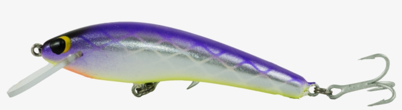 Shallow, transparent png #5185937