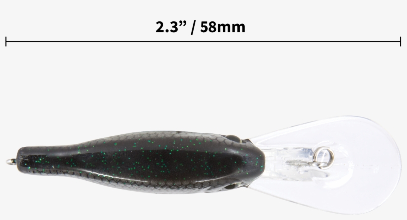 Series - Tournament - Cuttlefish, transparent png #5187406