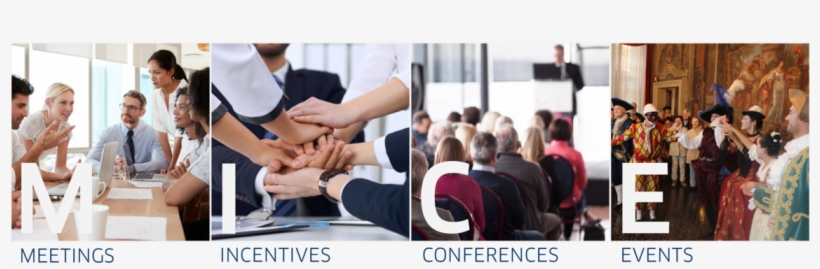 Discover Italy's Authenticity And Excellence With Michelangelo - Rat, transparent png #5188926