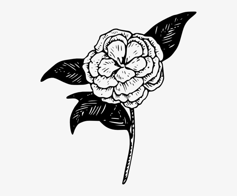 Png Royalty Free Library Confusing Drawing Purity - Camellia Flower Clip Art, transparent png #5189505