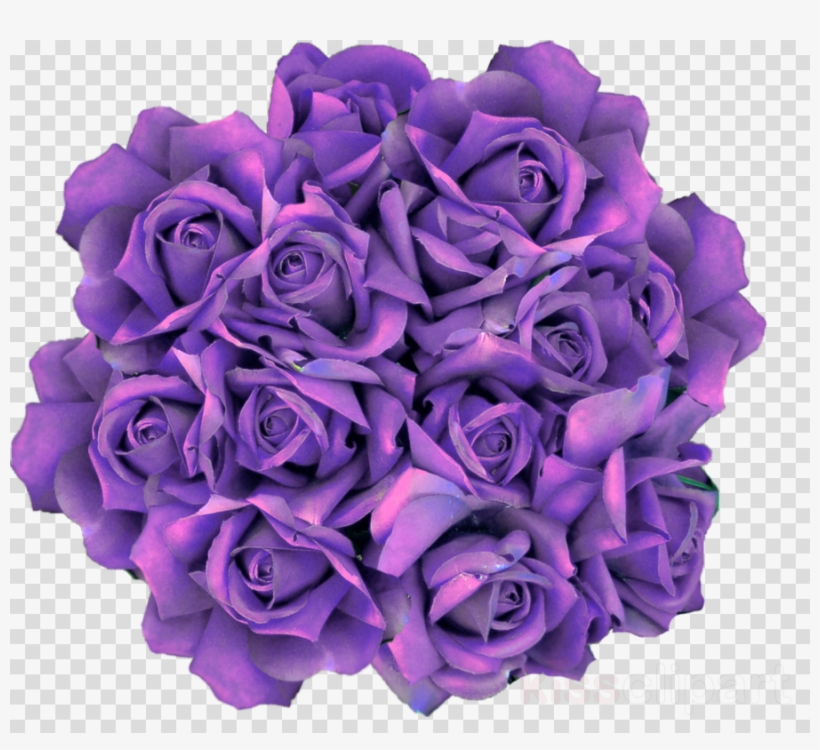 Clip Art Clipart Garden Roses Flower Clip Art - Purple Roses Drawings Transparent, transparent png #5189510