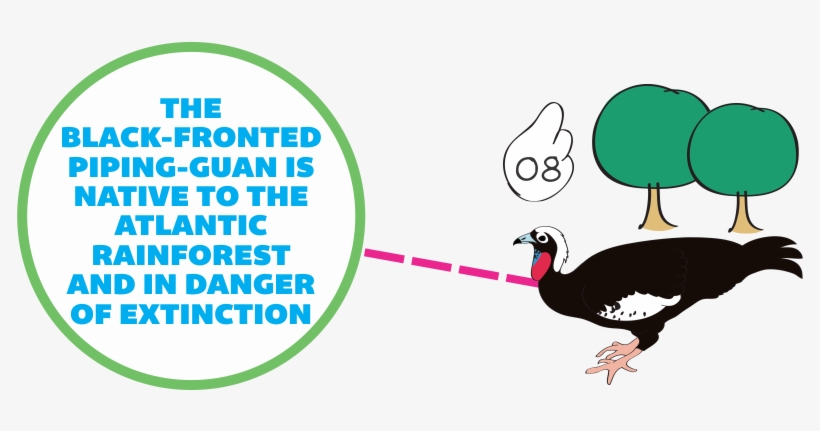 At "how We Save Species" Area, You Meet Some Bird Species - Turkey, transparent png #5190524