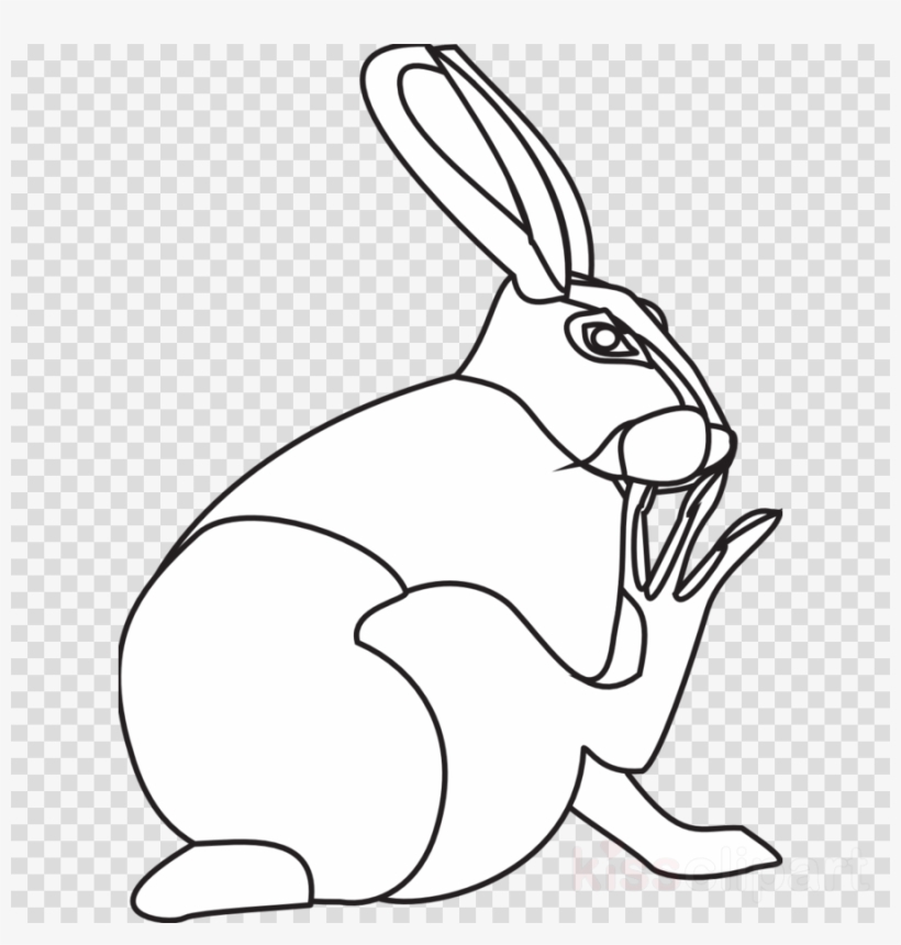 Line Art Clipart Domestic Rabbit Easter Bunny - Clip Art Employee Of The Month Png, transparent png #5191276