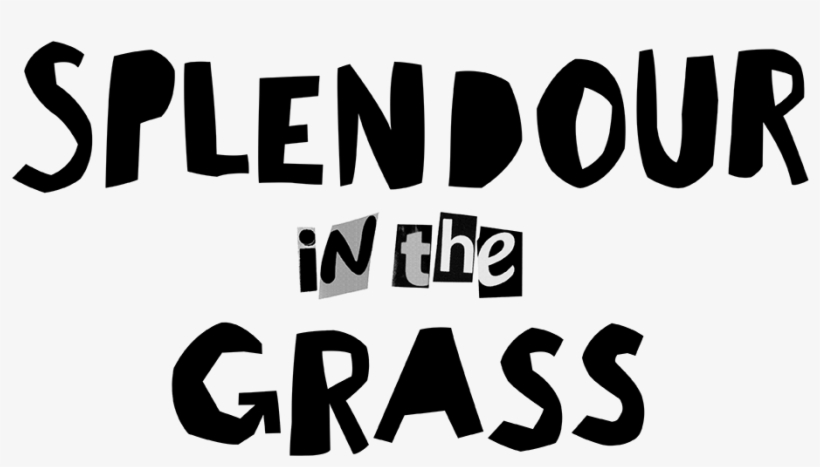 Northern Rivers Screenworks Inc Splendour In The Grass Logo Free Transparent Png Download Pngkey