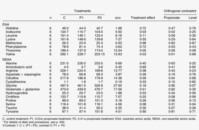 Amino Acid Concentrations In The Mesenteric Artery - Superior Mesenteric Artery, transparent png #5192440