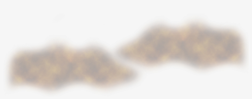 Macro Photography, transparent png #5193925
