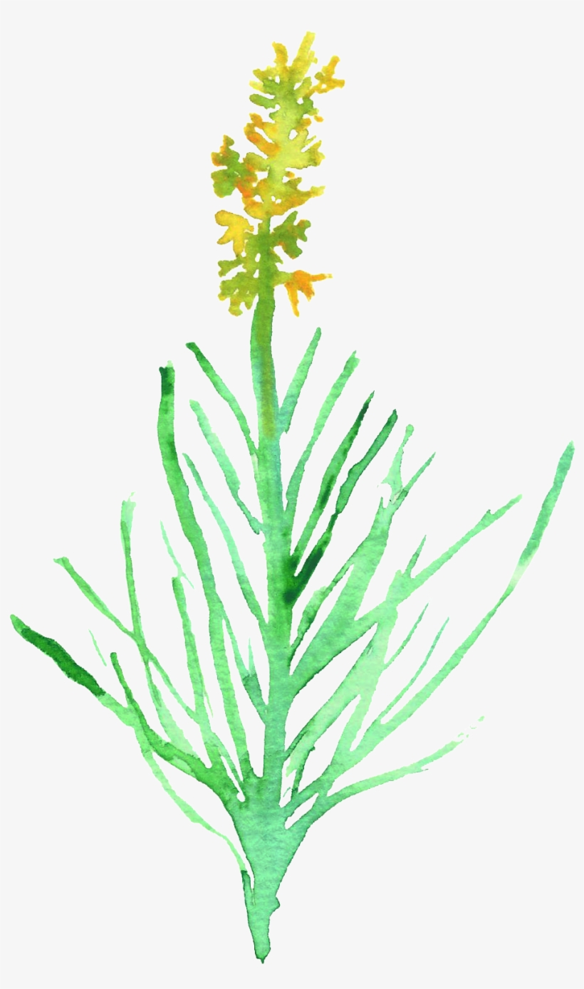 Yellow Pollen Transparent Decorative - Watercolor Painting, transparent png #5194579