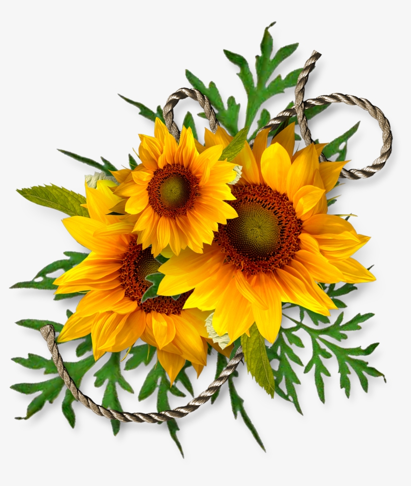 Cheyokota Digital Scraps Sunflower Art, Sunflower Crafts, - Bouquet Of Sunflowers Clip Art, transparent png #5196240