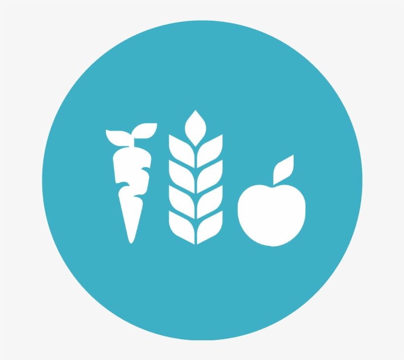 Icono Google Mas, transparent png #5196423