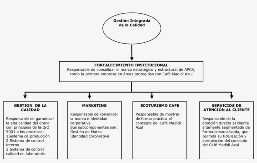 Procesos De Fortalecimiento Institucional Para La Obtención - Coffee, transparent png #5197546
