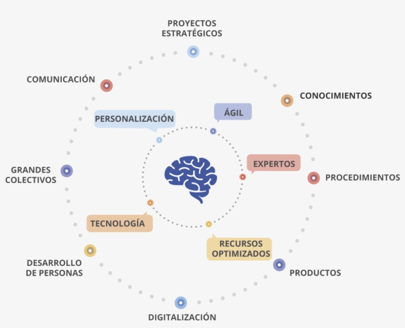 Adi Talento Nace Con El Objetivo De Hacer Crecer A - Circle, transparent png #5197702