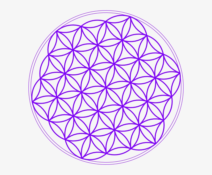 Flor De La Vida Para Abrir Registros Akashicos Madrid - Cross, transparent png #5198190