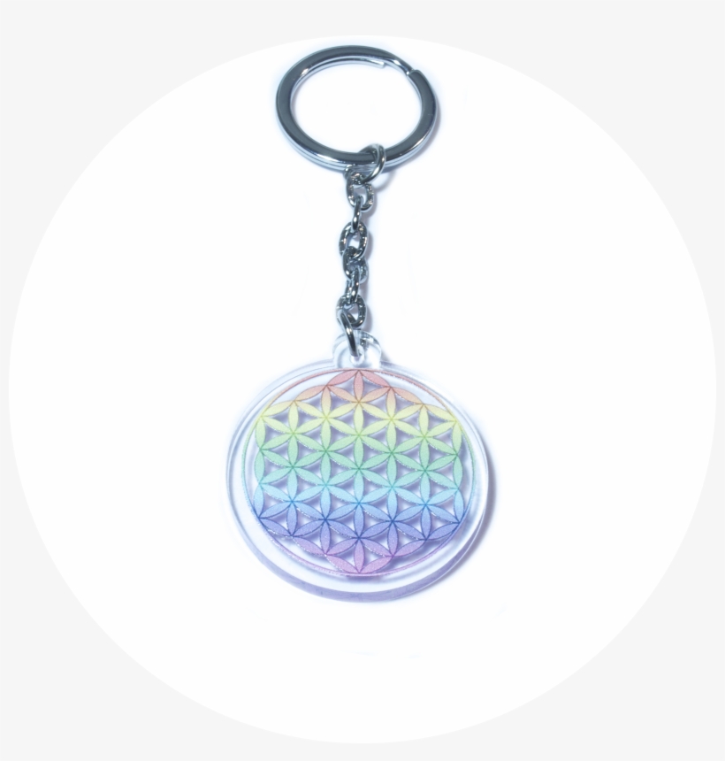 Next - Tots - Tortuga - Tigre - Serpiente - Flor De - Dibujo Bulldog Frances, transparent png #5199013