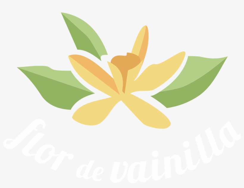 Seinfeld No Soup For You Magnet, transparent png #5199302