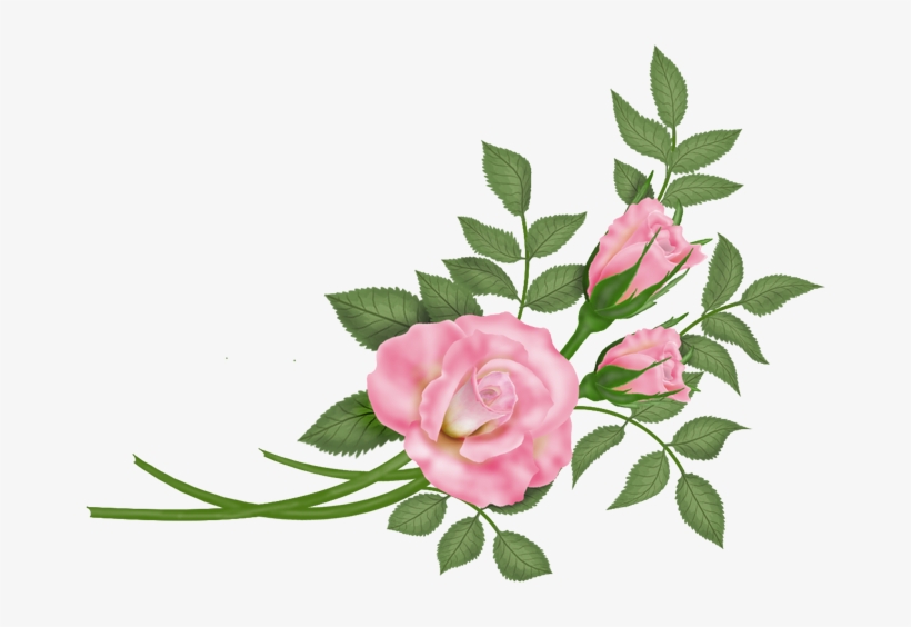 Flowers - Vector Rosa - Rose, transparent png #520174