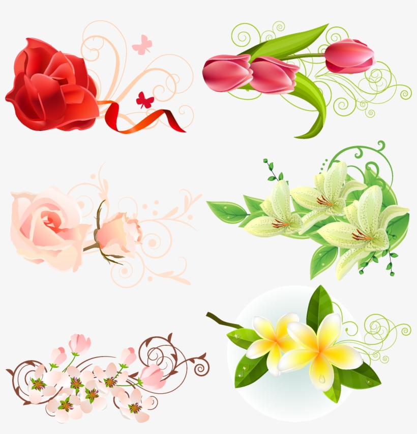 Free Download Vector Flower, transparent png #520196