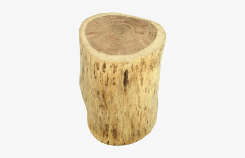 Natural Tree Stump Accent Table - Podstavec Z Akáciového Dřeva Hsm Collection Boom, transparent png #520363