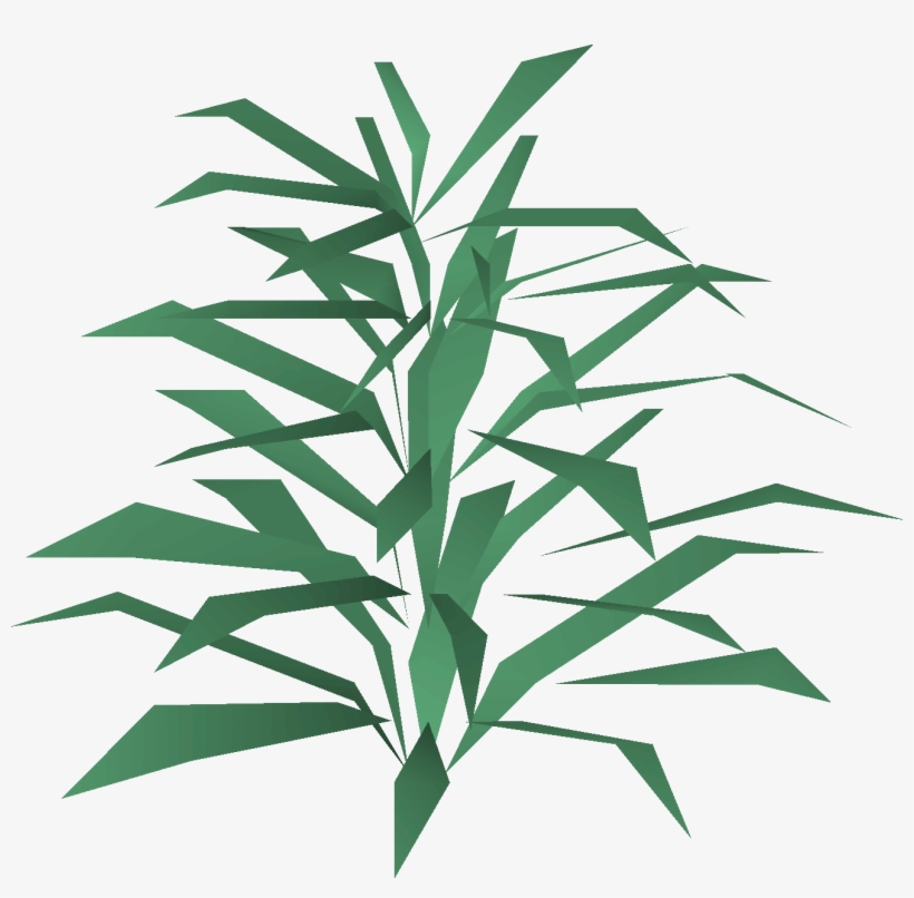 Rosemary Detail - Wiki, transparent png #520472