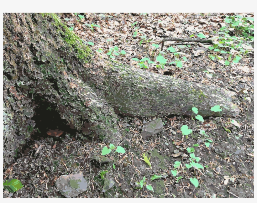 Soil Tree Stump - Moss, transparent png #520522