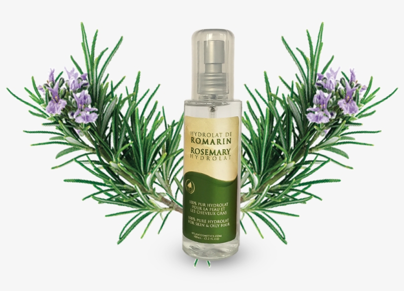 Azoor Rosemary Floral Water Hydrolat By Atlas Cosmetics - Herbal Distillate, transparent png #520740