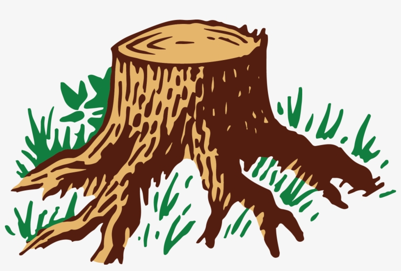 Original Size Is 1771 × 1113 Pixels - Root, transparent png #520765