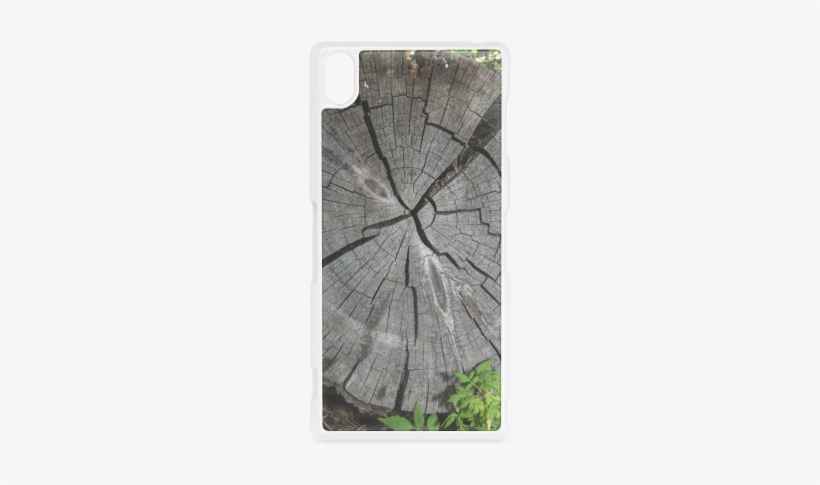 Dried Tree Stump Hard Case For Sony Xperia Z3 - Birch, transparent png #520878