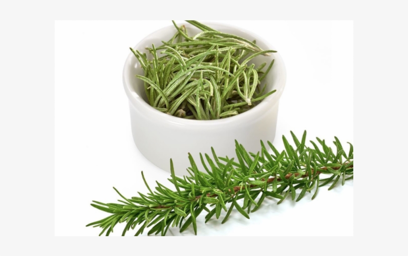 More Views - Rosemary Wild, transparent png #521101