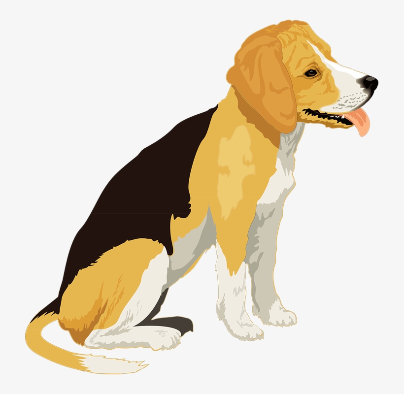 Beagle Black Dog Pencil And In Color, transparent png #521500