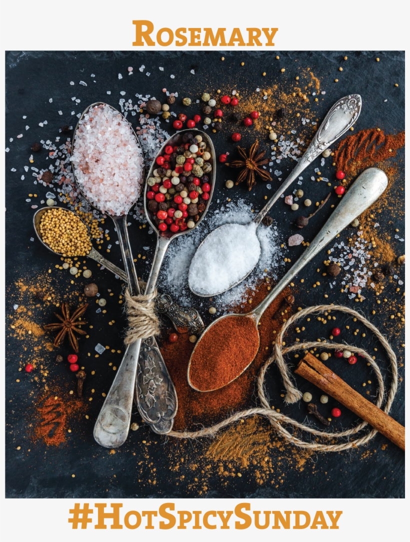 Rosemary - Spices Cooking Journal: 110 Page 8x10 Inch Blank Recipe, transparent png #521841