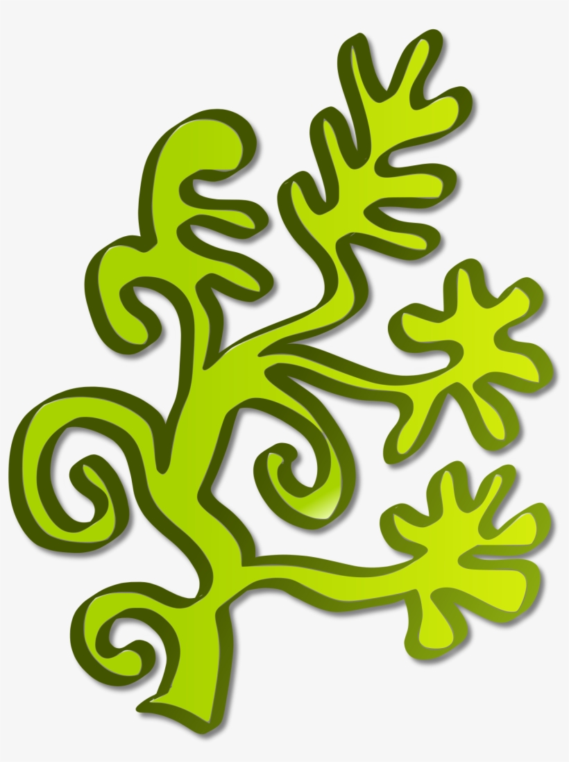 Water Plant Clip Art - Algae Clipart Png, transparent png #522100