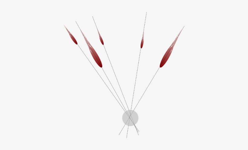 Image Of Intersecting Of Blood Spatter Impact Angles - Arrow, transparent png #522557