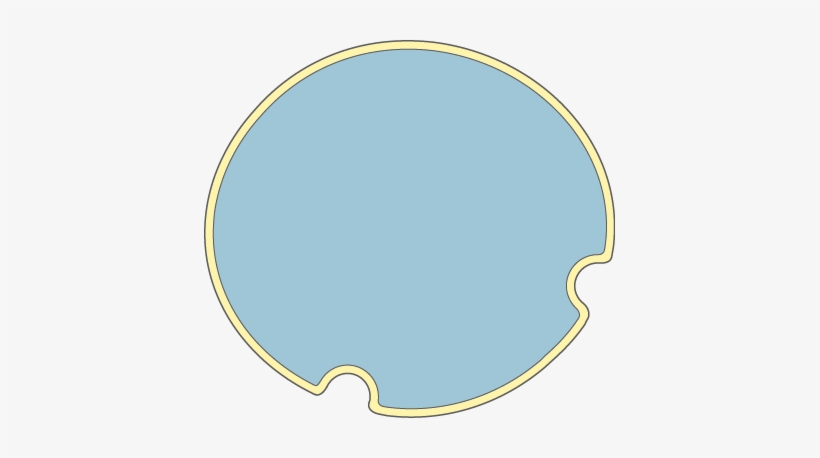 Download The Image - Cell, transparent png #523550