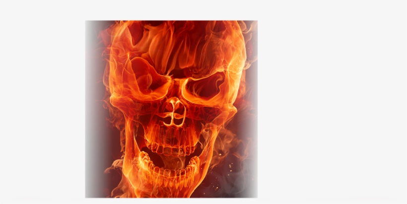 Warning - Fire Skull Journal By Cool Image 9781535412070 (paperback), transparent png #523873