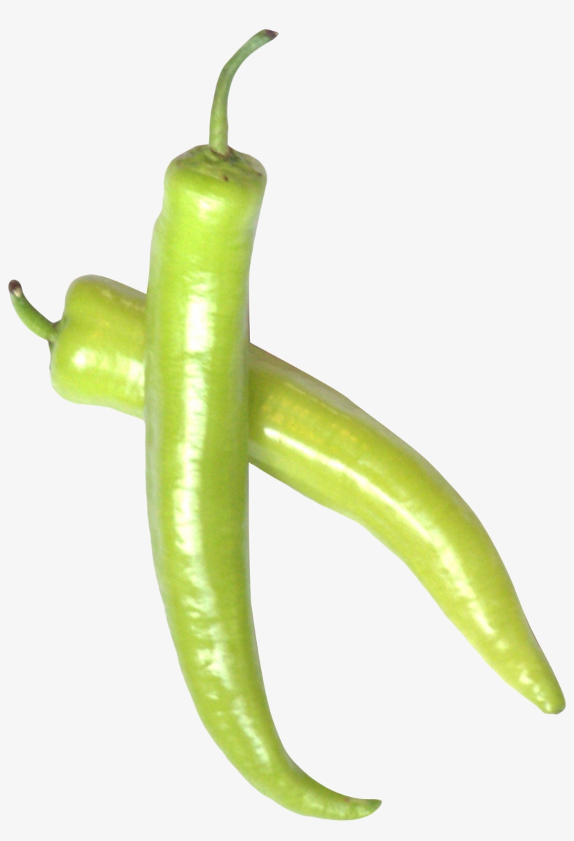Green Chili Pepper Png Image - Green Chili Pepper Png, transparent png #525552