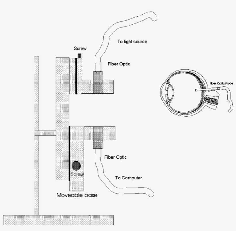 Llustration Of The Eyeball Holder - Diagram, transparent png #525970
