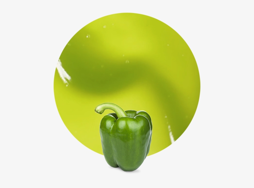 Green Pepper - Puree - Green Bell Pepper, transparent png #526445