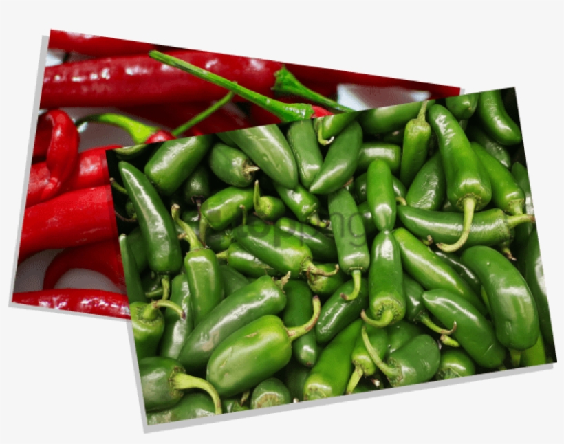 Contact Us - - Bird's Eye Chili, transparent png #526960