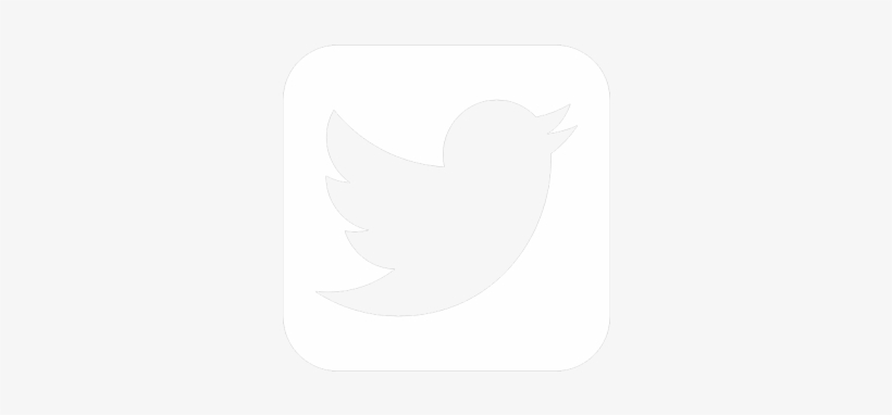 White Twitter Png For Kids - Ceiling, transparent png #527479