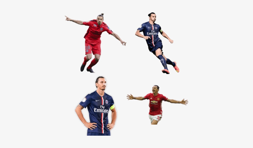Zlatan Ibrahimović - Zlatan Imbrahimovic - Psg Signed Mounted Photo 10 X, transparent png #528392