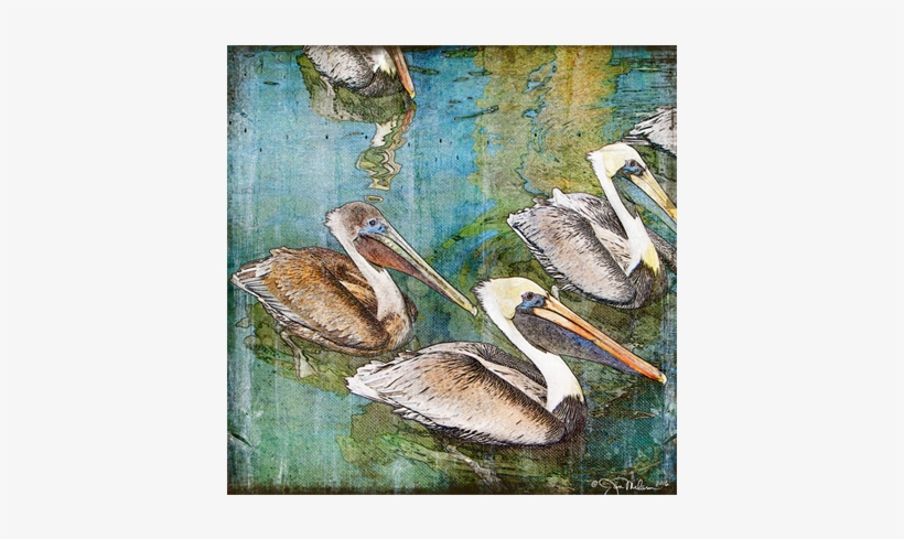 Key West Pelicans Canvas - Brown Pelican, transparent png #528969