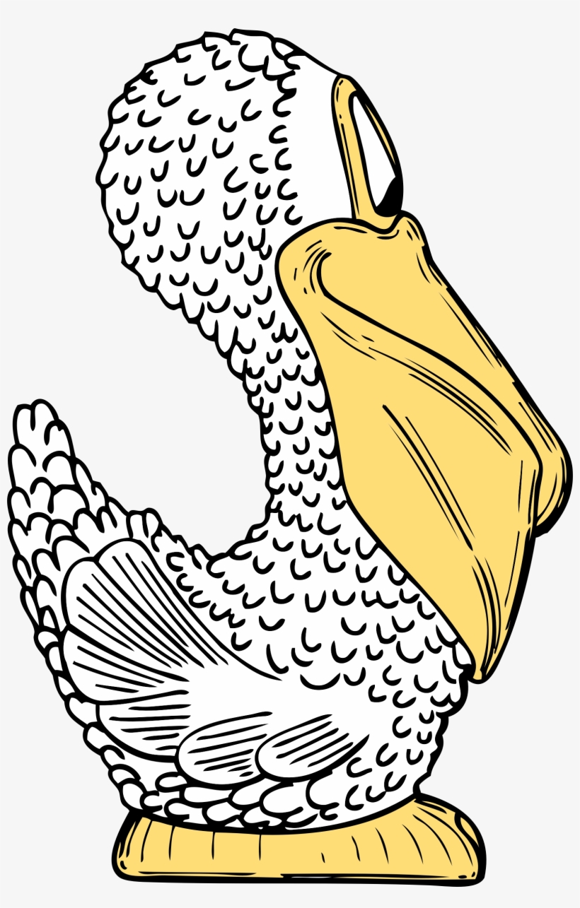 Free Vector Pelican Side View Clip Art, transparent png #529010