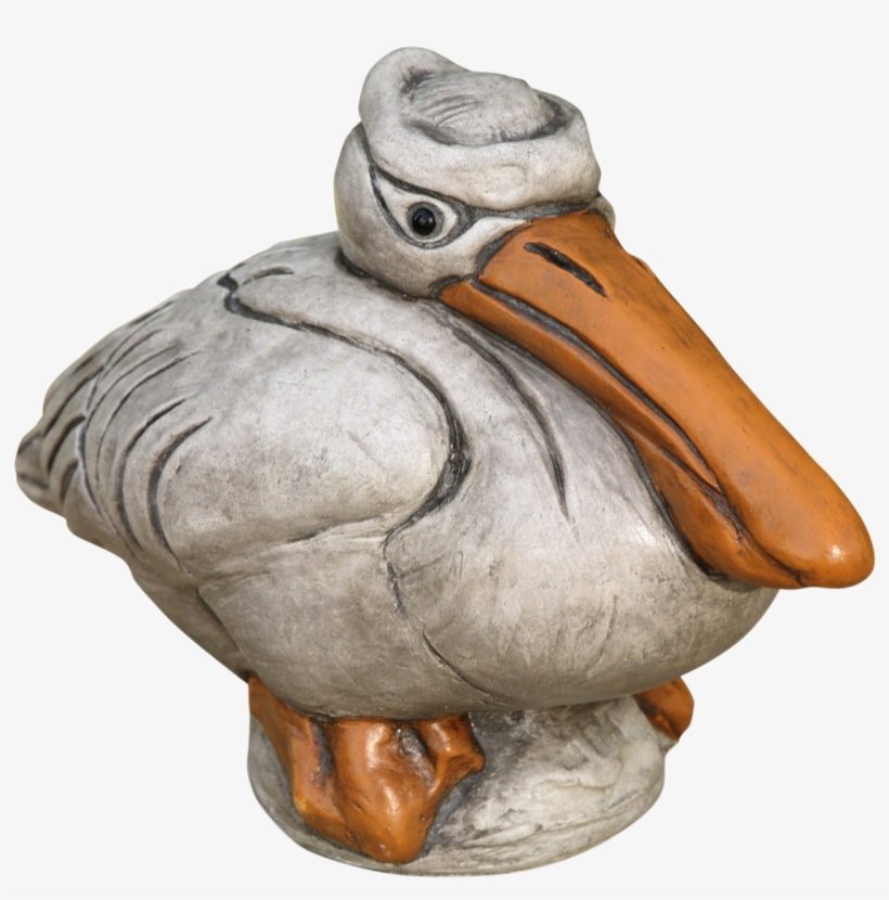 Pelican Png Photo - Brown Pelican, transparent png #529080