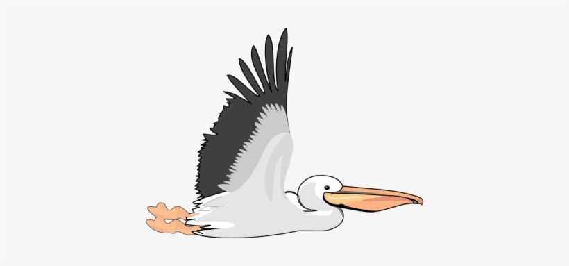 Old Pelican Clip Art At Png Png Images - Flying Pelican Clip Art, transparent png #529134