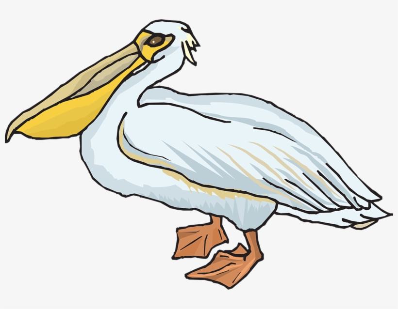 Clipart Black And White Library Free Pelican Cliparts - Pelican Clipart, transparent png #529154