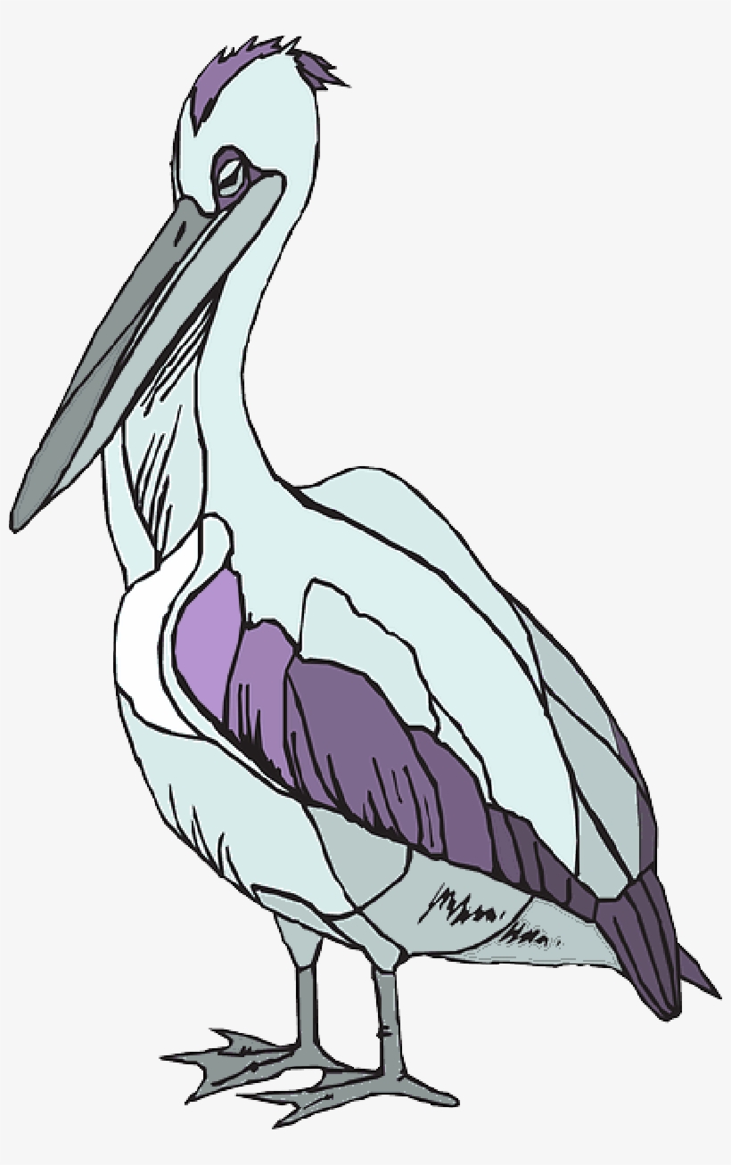 Mb Image/png - Pelican, transparent png #529366