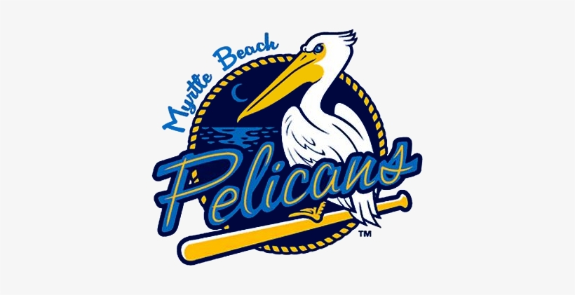 Myrtle Beach Pelicans - Myrtle Beach Pelicans Logo, transparent png #529411