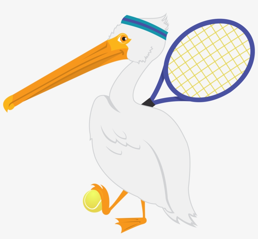 Beak Clip Pelican - Lovendegem, transparent png #529493