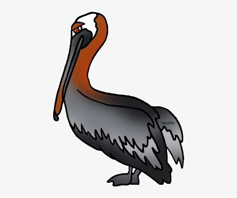 Clip Royalty Free Pelican Clipart Brown Pelican - Louisiana Brown Pelican Png, transparent png #529992