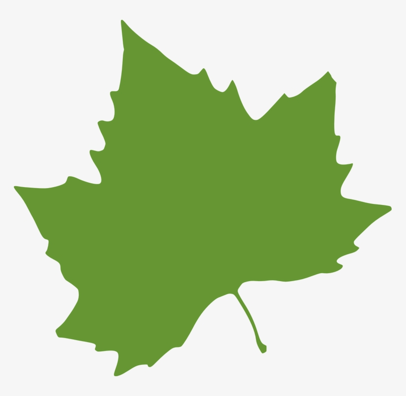 Maple Leaf Clipart Spring Leaf - Purple Fall Leaves Clip Art, transparent png #5200279